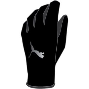 Перчатки PUMA PR Thermo Gloves (FW14) 04104101