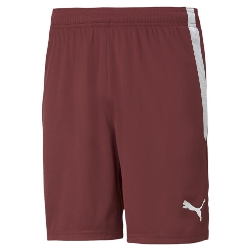 Шорты PUMA teamLIGA Shorts (AW21) 70492409