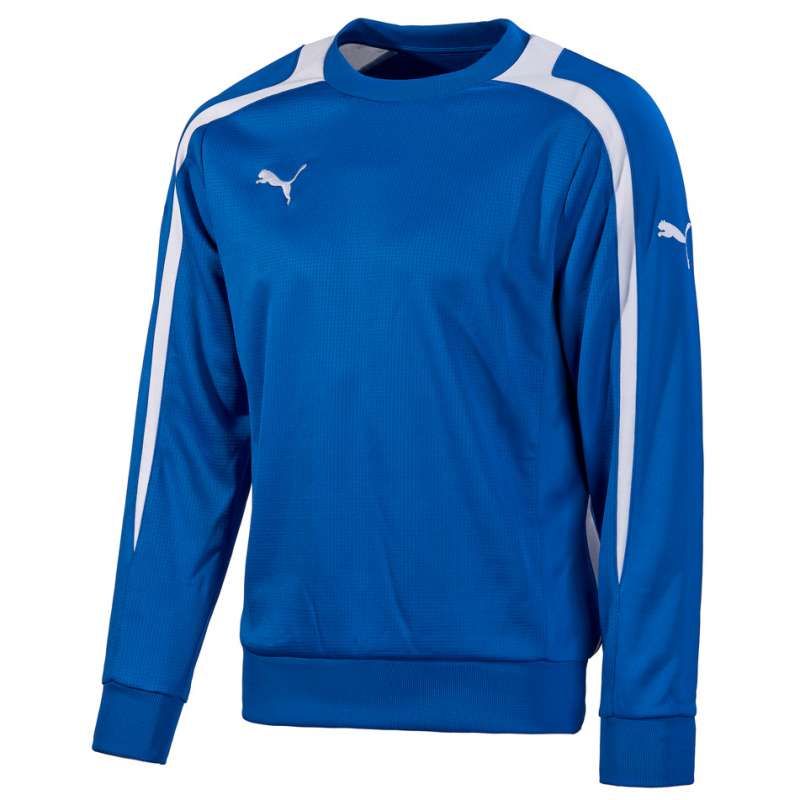 Кофта PUMA POWERCAT TT 1.12 SWEAT (SS12) 65302702