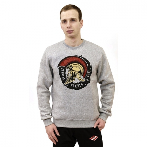 Толстовка мужская, серая SS0001