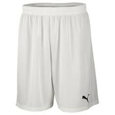 Шорты PUMA VELIZE 701895041