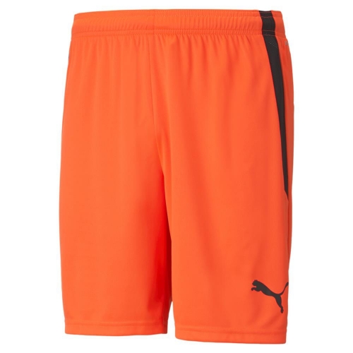 Шорты PUMA teamLIGA Shorts 70492445