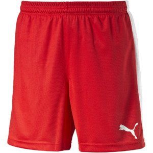 Шорты PUMA Pitch Shorts WithInnerbrief (SS15) 702075011