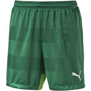 Шорты PUMA Stadium Shorts W Innerbrief (SS15) 702074051