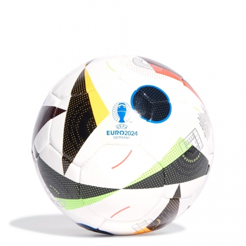 Футбольный мяч ADIDAS EURO24 PRO SAL IN9364
