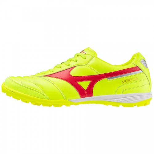 Mizuno indoor shop