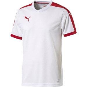 Футболка PUMA Pitch SS (SS15) 702070121