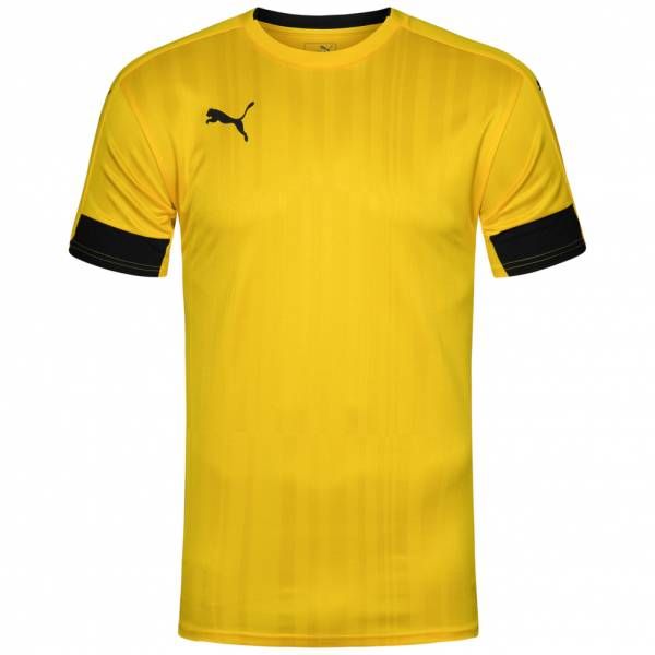 Футболка PUMA TOURNAMENT SS 70220138