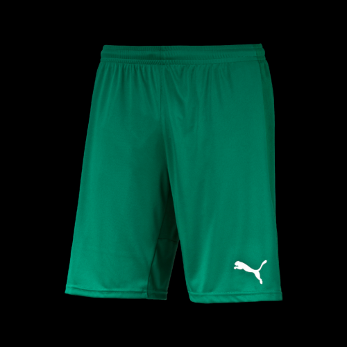 Шорты PUMA TRIUMPHANT 702208051