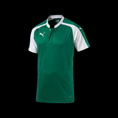 Футболка PUMA TRIUMPHANT SS 702203051