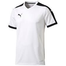 Футболка PUMA Pitch SS (SS15) 70207041