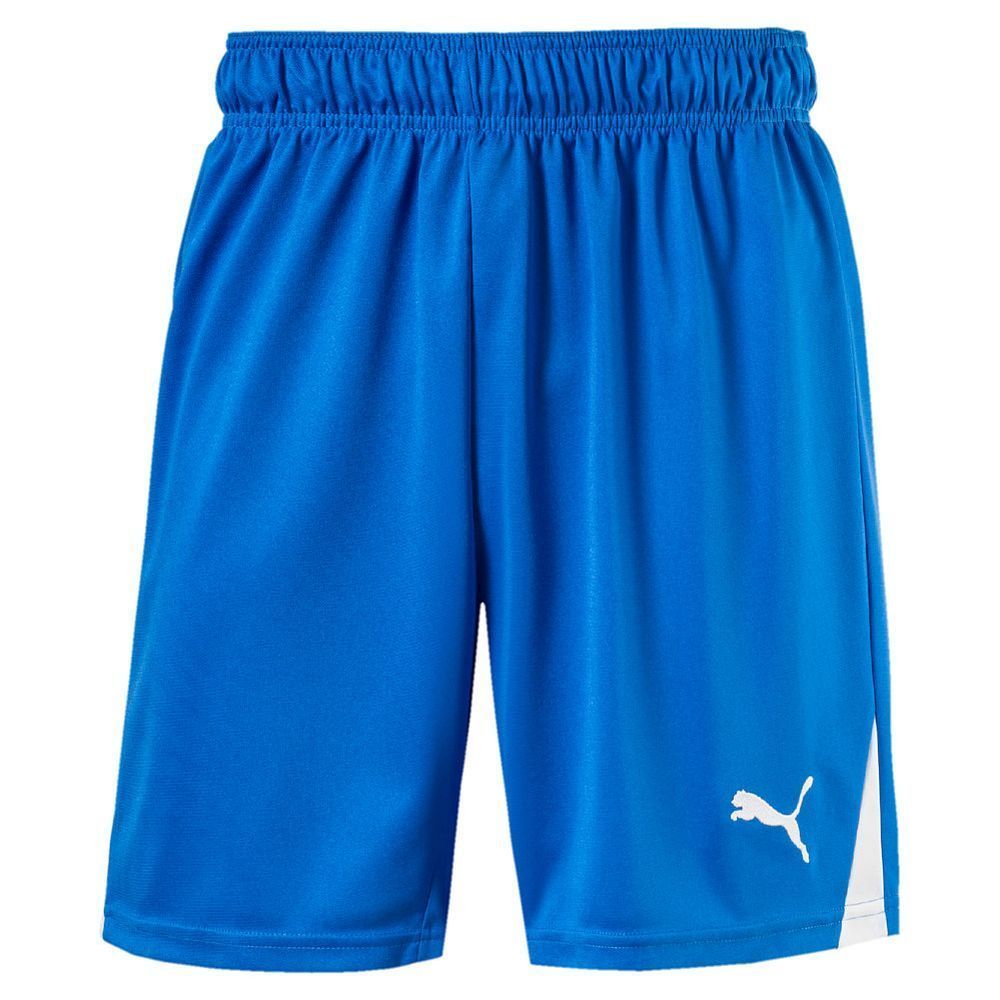 Шорты PUMA TEAM SHORTS 70127502