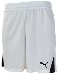 Шорты PUMA TEAM SHORTS 70127504
