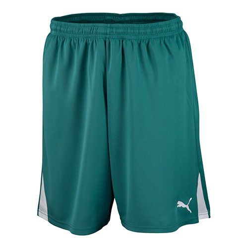 Шорты PUMA TEAM SHORTS 701275051
