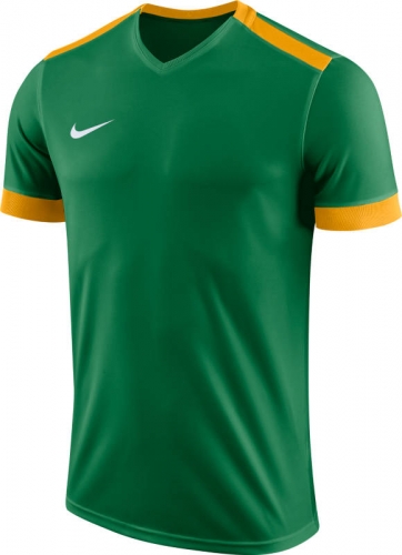 Футболка NIKE DRY PRK DRBY II JSY SS (SP18) 894312-302