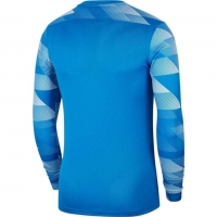 Детский вратарский свитер NIKE DRY PARK IV JSY LS GK JR CJ6072-463 - вид 1 миниатюра