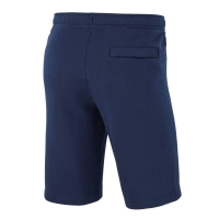 Шорты NIKE FLC TM CLUB19 SR AQ3136-451 - вид 1 миниатюра