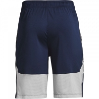 Шорты тренировочные Under Armour Raid 2.0 SR 1361511-408 - вид 1 миниатюра