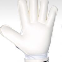 Вратарские перчатки HO SOCCER CAPTURE SSG RF  - вид 1 миниатюра