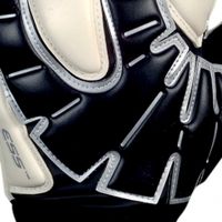 Вратарские перчатки Reusch Raptor Pro D1  - вид 2 миниатюра