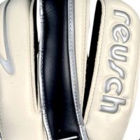 Вратарские перчатки Reusch Raptor Pro D1  - вид 3 миниатюра