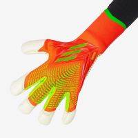 Вратарские перчатки ADIDAS Predator Pro Promo HC0622 - вид 1 миниатюра