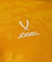 Вратарский свитер JOGEL Division PerFormDRY GK Splash ЦБ-00001818 - вид 4 миниатюра