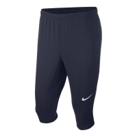 Брюки тренировочные 3/4 Nike Dry Acdmy18 Pant Kpz JR 893808-451 - вид 1 миниатюра