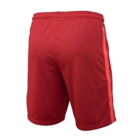 ШортыNIKE LFC MNK DF STADIUM SHORT HM SR DB2557-687 - вид 1 миниатюра