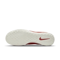 Обувь для зала NIKE PREMIER II SALA SR AV3153-800 - вид 2 миниатюра
