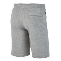 Шорты NIKE FLC TM CLUB19 SR AQ3136-063 - вид 1 миниатюра
