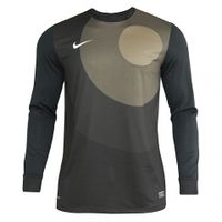 Вратарский свитер NIKE LS PARK IV GK JSY (Серый)