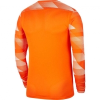 Вратарский свитер NIKE DRI-FIT PARK IV SR CJ6066-819 - вид 1 миниатюра