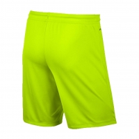 ШортыNIKE PARK II KNIT SHORT NB SR 725887-702 - вид 1 миниатюра