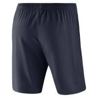 Шорты NIKE DRY ACDMY18 SHORT WZ SR 893787-451 - вид 1 миниатюра