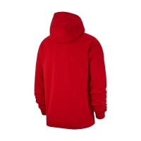 Толстовка NIKE HOODIE FZ FLC TM CLUB19 (SP19) AJ1313-657 - вид 1 миниатюра