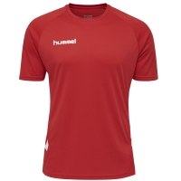 Комплект формы Hummel Hmlpromo Kids Set JR 205871-3062 - вид 1 миниатюра