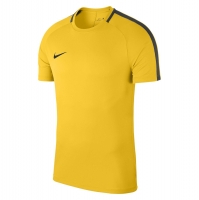Футболка тренировочная Nike Dry Acdmy18 Top SS SR 893693-719 - вид 1 миниатюра