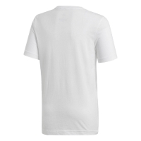 Футболка ADIDAS WC EMBLEM JR CW2106 - вид 1 миниатюра