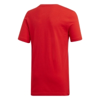 Футболка ADIDAS WC EMBLEM JR CV6333 - вид 1 миниатюра