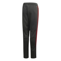 Детские штаны ADIDAS FCB TR PNT JR CW7293 - вид 1 миниатюра