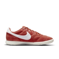 Обувь для зала NIKE PREMIER II SALA SR AV3153-800 - вид 3 миниатюра
