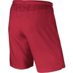 ШортыNIKE LASER II WOVEN SHORT NB SR 588415-657 - вид 1 миниатюра