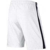 ШортыNIKE MAX GRAPHIC WVN SHORT WB SR 645495-156 - вид 1 миниатюра
