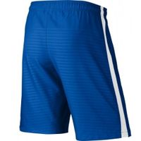 ШортыNIKE MAX GRAPHIC WVN SHORT NB SR 645495-463 - вид 1 миниатюра