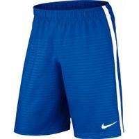 ШортыNIKE MAX GRAPHIC WVN SHORT NB SR 645495-463 - вид 1 миниатюра