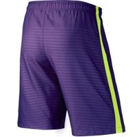 ШортыNIKE MAX GRAPHIC WVN SHORT NB SR 645495-547 - вид 1 миниатюра