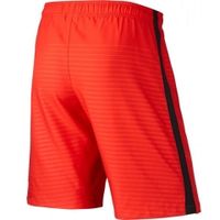 ШортыNIKE MAX GRAPHIC WVN SHORT NB SR 645495-657 - вид 1 миниатюра