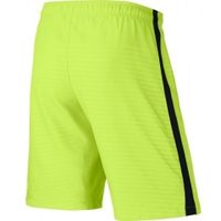 ШортыNIKE MAX GRAPHIC WVN SHORT NB SR 645495-715 - вид 1 миниатюра
