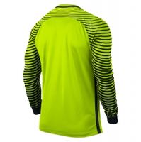 Детский вратарский свитер NIKE GARDIEN JSY LS JR 725969-702 - вид 1 миниатюра